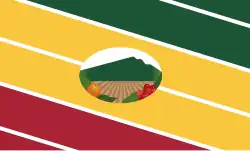 Flag of Nirgua Municipality