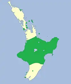The distribution of the North Island robin stretches from the Taranaki region to the Bay of Plenty region, with smaller populations scattered throughout the North Island