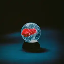 A red whistle in a snowglobe that is on a blue-coloured surface.