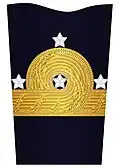 Pre-2003 sleeve insignia for a four star admiral