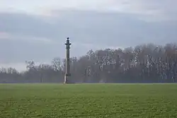 A tall stone obelisk in the middle of a field with grass and trees in the background.
