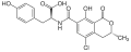 Ochratoxin TA