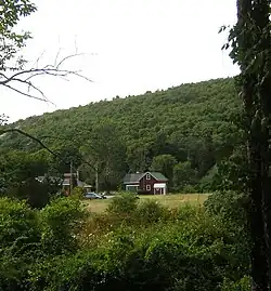 Great Blue Hill in background