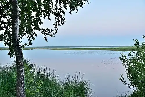 On the shore of the Sestroretsky flood on a White night