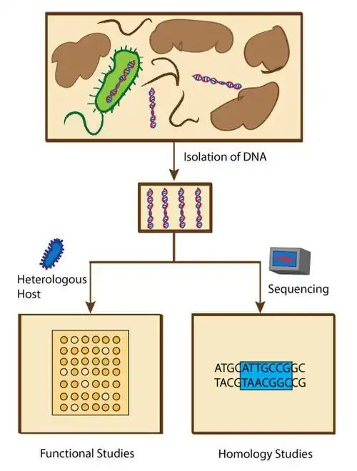 Overview of metagenomic methods