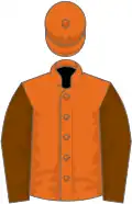Orange, chocolate sleeves