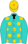 Turquoise, gold spots on body, gold cap