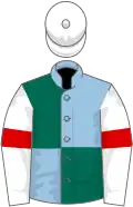 Light blue and dark green (quartered), white sleeves, red armlets, white cap