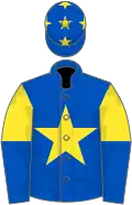 Royal blue, yellow star, yellow and royal blue halved sleeves, royal blue cap, yellow stars
