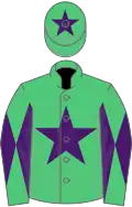 Emerald green, purple star, diabolo on sleeves, purple star on cap