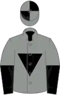 Grey, black inverted triangle, halved sleeves, quartered cap