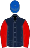 Dark blue, red sleeves, royal blue cap
