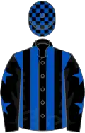 Black and royal blue stripes, royal blue stars on sleeves, check cap