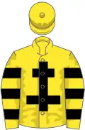 Yellow, black cross of lorraine and hoops on sleeves