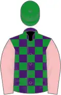Purple and green check, pink sleeves, green cap
