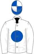 White, royal blue ball, white sleeves, blue and white quartered cap