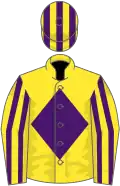 Yellow, purple diamond, striped sleeves and cap