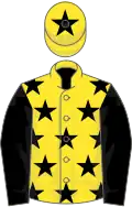 Yellow, black stars, black sleeves, black star on cap
