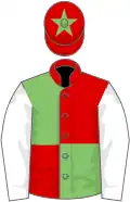 Red and light green (quartered), white sleeves, red cap, light green star