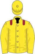 Yellow, maroon epaulets