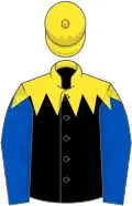 Black, yellow spiked yoke, royal blue sleeves, yellow cap
