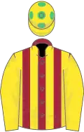 Maroon and yellow stripes, yellow sleeves, yellow cap, emerald green spots