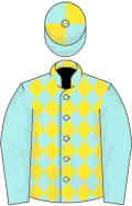 Pale blue and yellow diamonds, pale blue sleeves, quartered cap