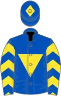 Royal blue, yellow inverted triangle, yellow chevrons on sleeves, yellow diamond on cap
