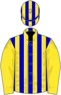 Blue and yellow stripes, yellow sleeves, striped cap