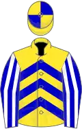 Yellow, blue chevrons, blue and white striped sleeves, yellow and blue quartered cap