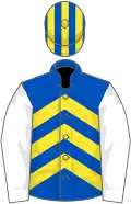 Royal blue, yellow chevrons, white sleeves, royal blue and yellow striped cap