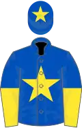 Royal blue, yellow star, halved sleeves and star on cap