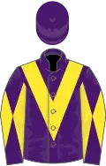 Purple, yellow chevron, diabolo on sleeves