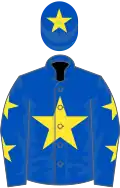 Royal blue, yellow star, royal blue sleeves, yellow stars, royal blue cap, yellow star