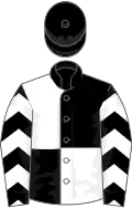 Black and white (quartered), chevrons on sleeves