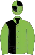 Light Green and Black (halved), Light Green sleeves, quartered cap