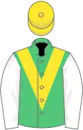 Emerald green, yellow chevron, white sleeves, yellow cap