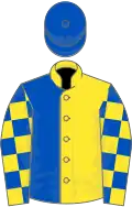 Yellow and royal blue (halved), checked sleeves, royal blue cap