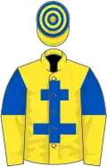Yellow, royal blue cross of lorraine, royal blue and yellow halved sleeves, yellow and royal blue hooped cap