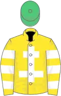 Yellow, white cross of lorraine, hooped sleeves, emerald green cap