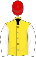 Yellow, white sleeves, red cap