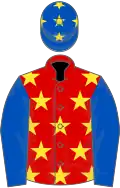 Red, yellow stars, royal blue sleeves, royal blue cap, yellow stars