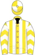 Yellow and white stripes, chevrons on sleeves, quartered cap