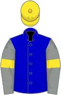 Blue, grey sleeves, yellow armlets and cap