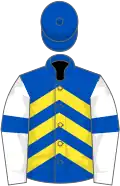 Royal blue, yellow chevrons, white sleeves, blue armlets