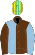Brown and light blue (halved), sleeves reversed, emerald green and yellow striped cap