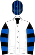 White, black and royal blue hooped sleeves, black and royal blue striped cap