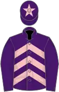 Purple, pink chevrons, purple sleeves, purple cap, pink star