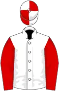 White, red sleeves, quartered cap