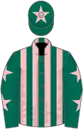 Dark green and pink stripes, dark green sleeves, pink stars, dark green cap, pink star